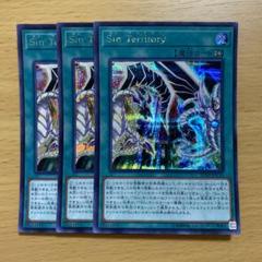Amazon.co.jp: 遊戯王カード Sin Territory
