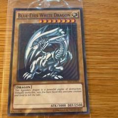 遊戯王 - PSA10  青眼の白龍　ミレニアム　2015-JPPG1 青眼の白龍 ミレニアム」の激安通販 | magi