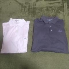 2点セットゴルフウェア MIZUNO LONG CHAMP 長袖・半袖ポロシャ