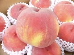 ☆7名様先着お値引き品☆【等級秀品です☆】山梨産もも４～５玉箱☆白鳳桃☆のサムネイル