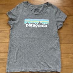 patagonia グレー Tシャツ　L-12