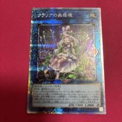 遊戯王 クラリアの蟲惑魔 プリズマ