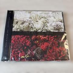 world's end girlfriend / IN THE NAME OF LOVE [1