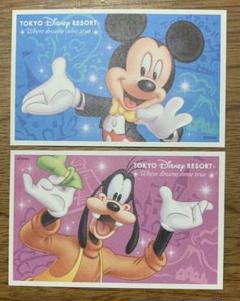 ディズニー チケット 大人 2枚
