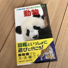 動物 NEO POCKET 小学館　図鑑