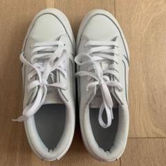 VANS ホワイト スニーカー 23cmのサムネイル