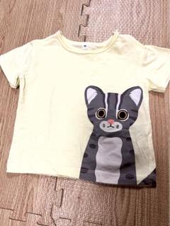 2025年最新】イリオモテヤマネコ tシャツの人気アイテム - メルカリ