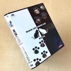 黒猫・白猫 DVDレンタル落ち