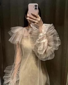 大人気⭐︎ANDRESDアンドレスド　ニアナ　ベージュ　チュールフリルブラウス 大人気⭐︎ANDRESDアンドレスド ニアナ ベージュ チュールフリル