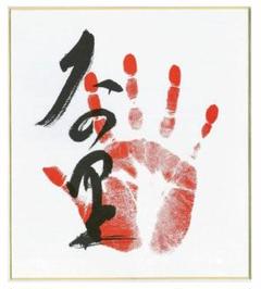 Amazon.co.jp: 大相撲☆大の里☆肉筆サイン手形 : おもちゃ