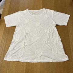 2025年最新】Plantation レディース 半袖(Tシャツ) Tシャツ