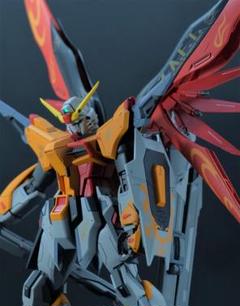 ガンプラ MG デスティニーガンダム 徹底改修 ハイネ機 塗装済み完成品