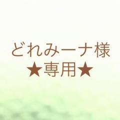 オススメ!手軽に栽培できる8種類セット✨野菜の種 家庭菜園にピッタリ 葉物野菜
