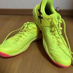 スカイエリートff3パリオリンピックカラーASICS26.5センチ スカイエリートff3パリオリンピックカラーASICS26.5センチ