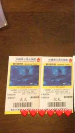 沖縄 美ら海水族館 チケット おまけ付き