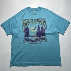 90s フルーツ ビンテージTシャツ XL ターコイズブルー シングル 6858