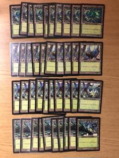 ウルザス・サーガの森/Forest 絵柄別40枚セット USG 基本土地 MTG