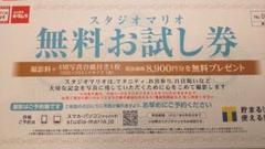 本日限定値下 スタジオマリオ 無料お試し券
