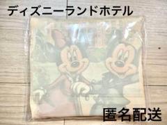ディズニーランドホテル エコバッグ アメニティ 非売品 限定品 Disney