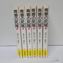 青春の尻尾 平野の中古 未使用品を探そう メルカリ 青春の尻尾 平野の中古 未使用品を探そう メルカリ