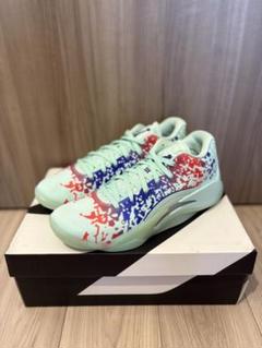NIKE JORDAN ZION 3 "Mud,Sweat,and Tears"