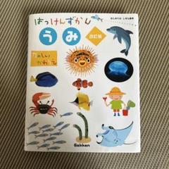 2025年最新】うみ 改訂版 はっけんずかんの人気アイテム - メルカリ