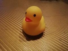 ルミオン ひよこ隊長