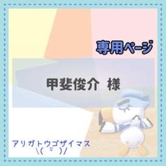 甲斐俊介様 リクエスト 6点 まとめ商品