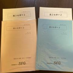 2025年最新】seg 化学の人気アイテム - メルカリ