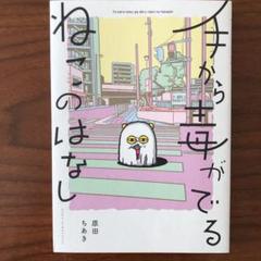 手から毒がでるねこのはなし