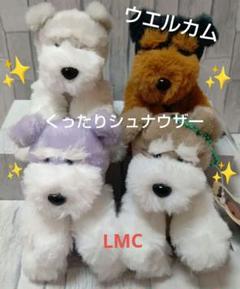 くったりシュナウザー ドーリー ＆ ウエルカム   セット くったりシュナウザー ドーリー ＆ ウエルカム セット - メルカリ