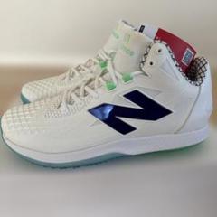 Ohtani 1 Trainer Lab Work