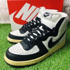 【着用2回】Nike Terminator High レザー 厚底 25.5