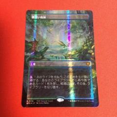 ドラゴンスケイルFoil 霧深い雨林/Misty Rainforest＋おまけ ドラゴンスケイルFoil 霧深い雨林/Misty Rainforest＋おまけ