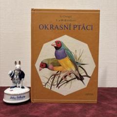 710B③チェコ鳥図鑑 洋書古書 ボタンニカルアート ビンテージ