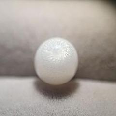 天然クラムパール／トリダクナパール（約1.9ct） 天然クラムパール／トリダクナパール（約1.9ct） - メルカリ