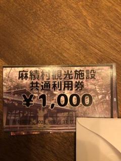 Tokoさん専用 麻績村 観光施設 共通利用券