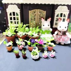 たくさんの植木　13個セット