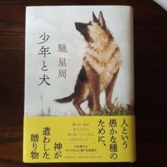 少年と犬