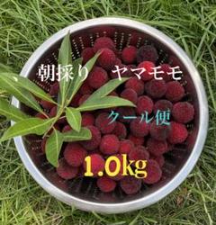 2025年最新】やまももの人気アイテム - メルカリ