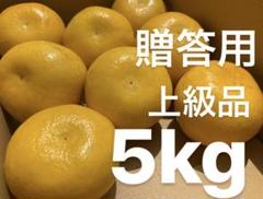 愛媛 贈答用 宇和ゴールド 5Kg 河内晩柑 嵐ゴールド