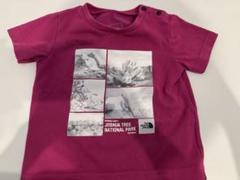 The North Face ジョシュアツリーTシャツ