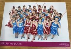 吉沢明歩 キーホルダー ネームステッカーEBISU MUSCATS 2013 吉沢明歩 キーホルダー ネームステッカーEBISU MUSCATS 2013