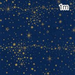 1m 星降る空 ネイビー地ゴールドスター オックス
