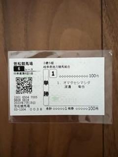 ジャングルポケット 共同通信杯 現地的中馬券
