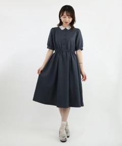 フィント　ローズ刺繍オーガンジー衿ワンピースのサムネイル