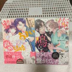 蜜よりあまい政略結婚 パーフェクトダーリンは新妻をかわいがりすぎる