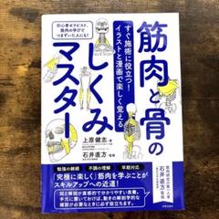 【上原健志ＤＶＤ】筋肉触診バイブル 上半身編・下半身編（上巻・下巻）セット 楽天市場】筋肉触診バイブル 上半身編 [ 上原健志 ]の通販