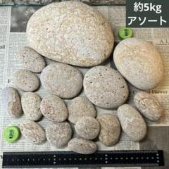 姫川薬石　約5kg アソート 糸魚川産
