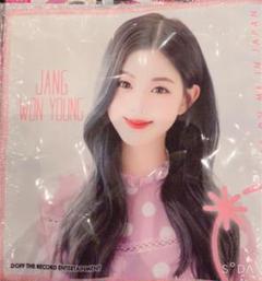 IZONE IVE ウォニョン ファイル 写真 タオル まとめ売り ♡おまけ付 IZONE IVE ウォニョン ファイル 写真 タオル まとめ売り
